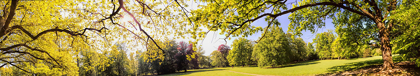 Image showing Summer time in the park