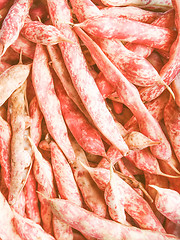 Image showing Retro looking Cranberry beans