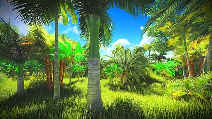 Image showing Lush vegetation in jungle