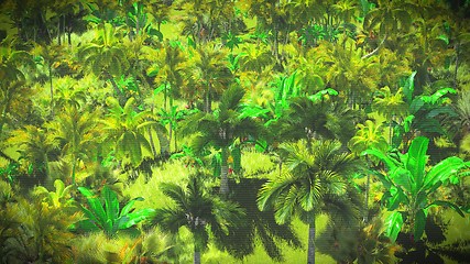 Image showing Lush vegetation in jungle