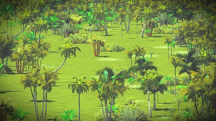 Image showing Lush vegetation in jungle