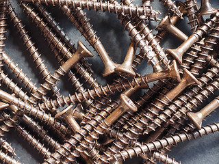 Image showing Wood screw