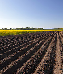 Image showing plowed field . Blue sky.