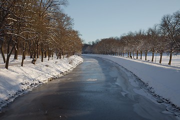 Image showing Winter Park with trees