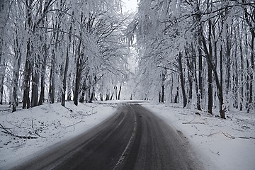 Image showing Winter Road Turns