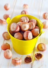 Image showing hazelnuts