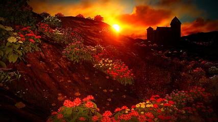 Image showing Beautiful landscape with flowers