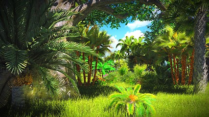 Image showing Lush vegetation in jungle