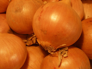 Image showing onions