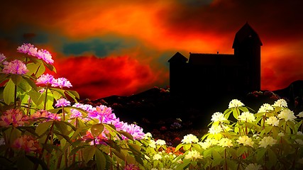 Image showing Beautiful landscape with flowers