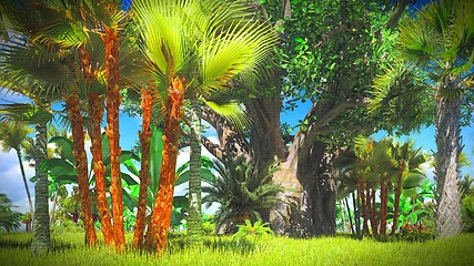 Image showing Lush vegetation in jungle