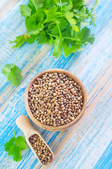 Image showing coriander