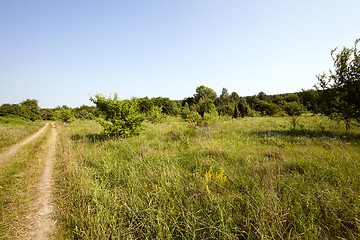 Image showing vanishing rural road  