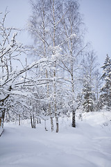 Image showing wintertime