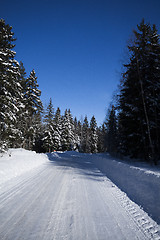 Image showing winter road