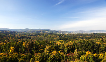 Image showing   forest in autumn  