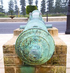 Image showing bronze cannon in africa morocco  green  tree