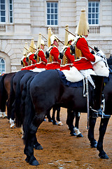 Image showing in london england horse 