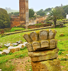 Image showing chellah  in morocco africa the old roman deteriorated monument a