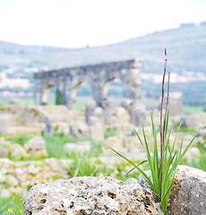 Image showing volubilis in morocco africa the old roman deteriorated monument 