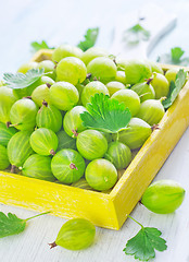Image showing gooseberry