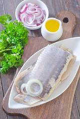 Image showing herring