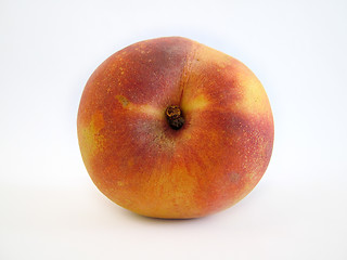 Image showing peach