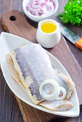 Image showing herring