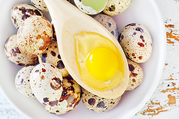 Image showing quail eggs