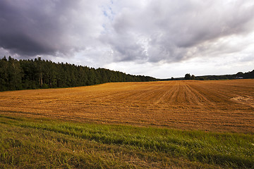 Image showing cloudy weather .  field