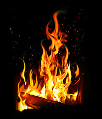 Image showing burning log and fire