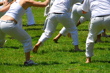 Image showing Martial art students