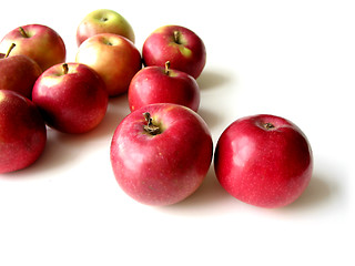 Image showing Apples 5