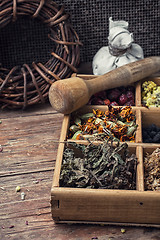 Image showing Dried medicinal herb