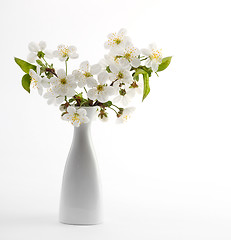 Image showing cherry twig in bloom in vase