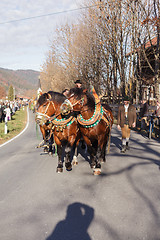 Image showing Schliersee, Germany, Bavaria 08.11.2015: Draft Horses in Schliersee in Leonhardifahrt