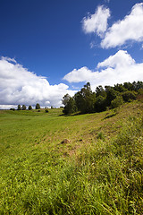 Image showing agriculture field  . Away trees