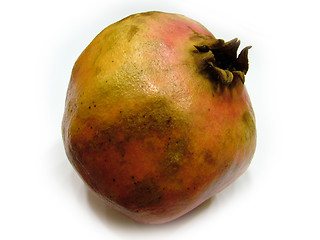 Image showing pomegranate