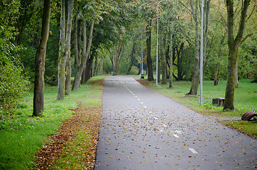 Image showing Alley with fallen leaves in autumn park