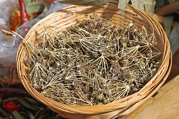 Image showing Wild Oregano