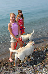 Image showing Two girls playing with dogs