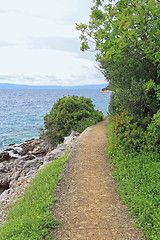 Image showing Island Hiking Trail