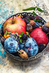 Image showing Autumn fruits in the vase