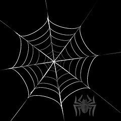 Image showing Polygonal Grey Spider and Her  Cobweb