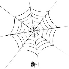 Image showing Polygonal Grey Spider and Her  Cobweb