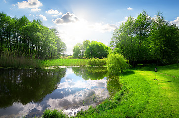 Image showing Green park near river