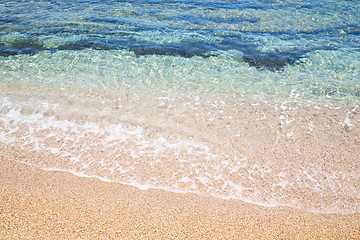 Image showing tide foam and froth in  