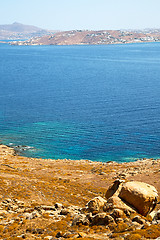 Image showing bush   in delos greece the   old ruin site