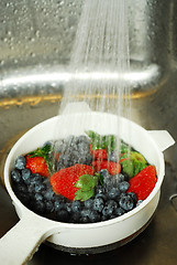 Image showing Washing berries