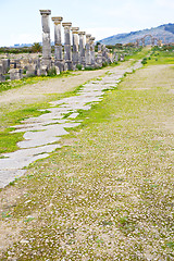 Image showing volubilis in morocco africa the old  street